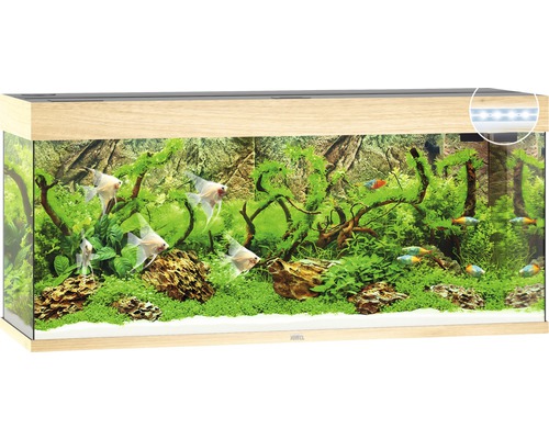 Aquarium Juwel Rio 240 LED sans meuble bas bois clair