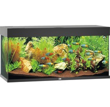 Aquarium Juwel Rio 180 LED avec éclairage,pompe,filtre,chauffage sans sous-meuble noir-thumb-1