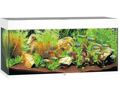 Aquarium JUWEL Rio 180 mit LED-Beleuchtung, Pumpe, Filter, Heizer ohne Unterschrank weiß