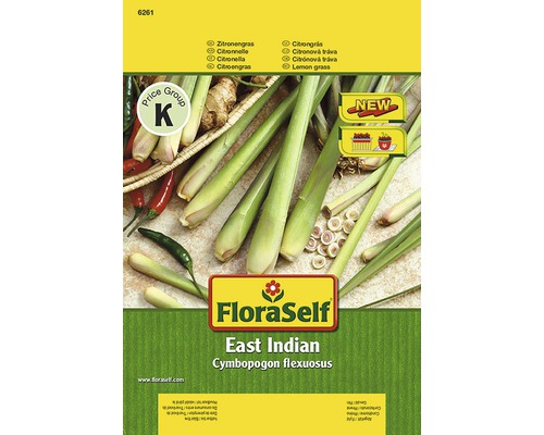 Citronnelle 'East Indian' FloraSelf semences non-hybrides semences de fines herbes Graines de citronnelle FloraSelf