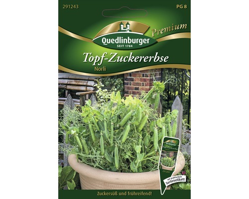 Pot de pois mangetout 'Norli' semences de légumes Quedlinburger