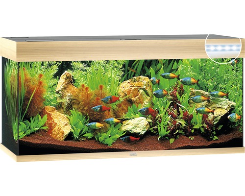 Aquarium Juwel Rio 180 LED sans meuble bas bois clair