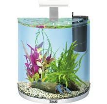 Aquarium Tetra ExplorerLine LED 30 litres sans armoire basse, blanc-thumb-2