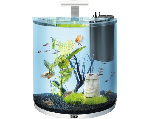 Aquarium illustré avec poissons, plantes et décor