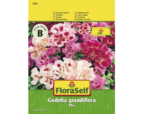 Sommerazalee 'Godetia' FloraSelf samenfestes Saatgut Blumensamen