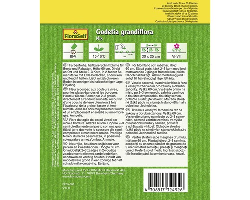 Paquet de graines de fleurs Godetia grandiflora Mix