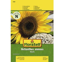 Tournesol 'Snack' FloraSelf semences non-hybrides graines de fleurs-thumb-0