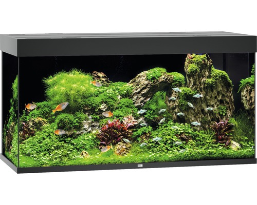 Aquarium JUWEL Rio 350 mit LED-Beleuchtung, Pumpe, Filter, Heizer ohne Unterschrank schwarz