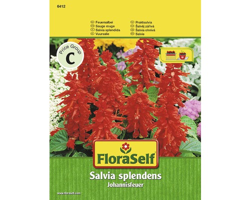 Feuersalbei FloraSelf samenfestes Saatgut Blumensamen