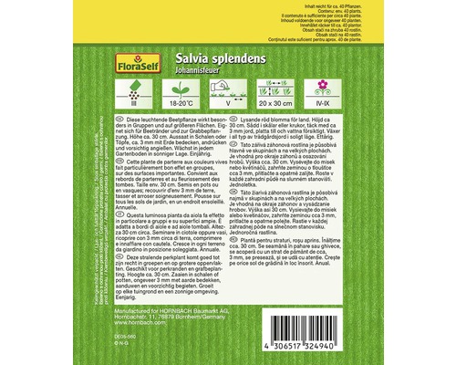 Emballage de graines de jardin Salvia splendens Johannisfeuer
