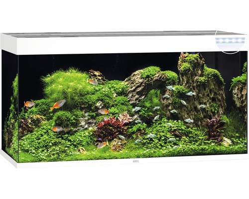 Aquarium Juwel Rio 350 LED sans meuble bas blanc