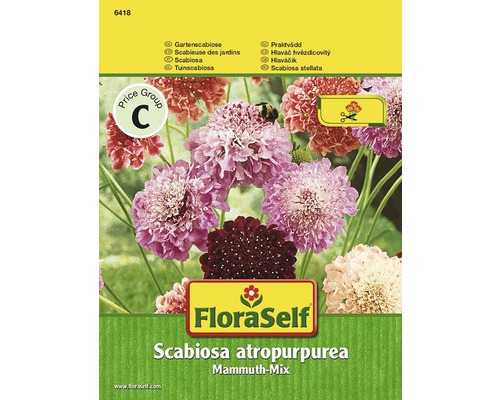 Scabiose 'Mélange Mammouth' FloraSelf semences non-hybrides graines de fleurs FloraSelf Scabiosa ''Mammuth-Mix'' emballage de plantes