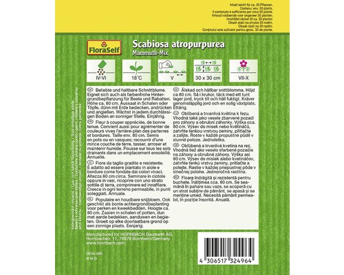 Paquet de graines de fleurs Scabiosa atropurpurea Mammut-Mix