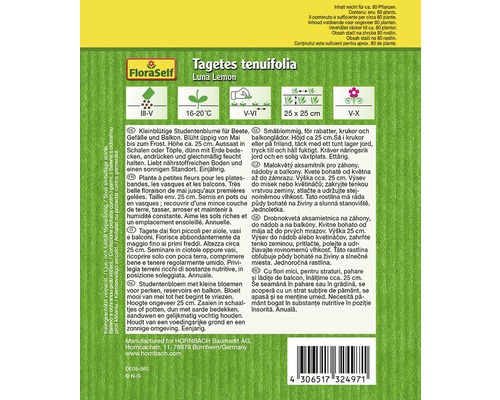 Paquet de graines de Tagetes tenuifolia Luna Lemon