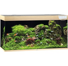 Aquarium Juwel Rio 350 LED sans meuble bas bois clair-thumb-1