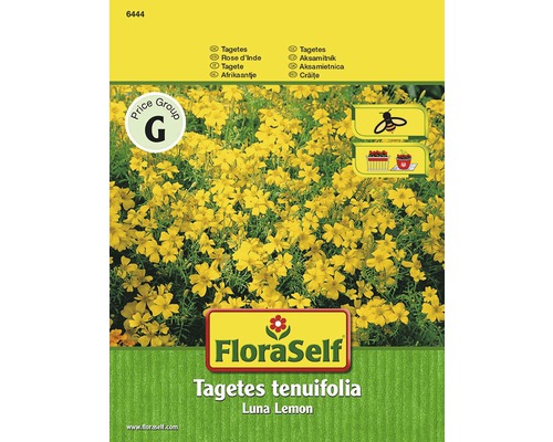 Tagètes à petites fleurs 'Luna Lemon' FloraSelf semences non-hybrides graines de fleurs