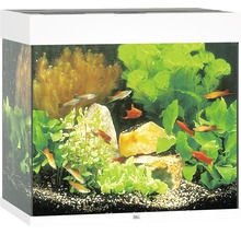Aquarium JUWEL Lido 120 avec éclairage à LED, pompe, filtre, chauffage sans meuble bas blanc-thumb-1