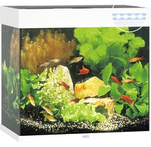 Aquarium JUWEL Lido 120 avec éclairage à LED, pompe, filtre, chauffage sans meuble bas blanc-thumb-0