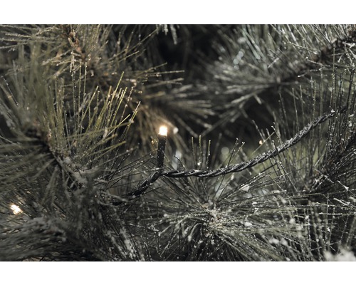 Gros plan d''un arbre de Noël avec éclairage et neige
