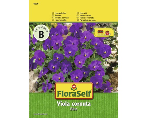 Violette cornue bleu FloraSelf semences non-hybrides graines de fleurs