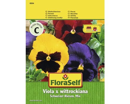 Pensée 'Mélange géant suisse' FloraSelf semences non-hybrides graines de fleurs