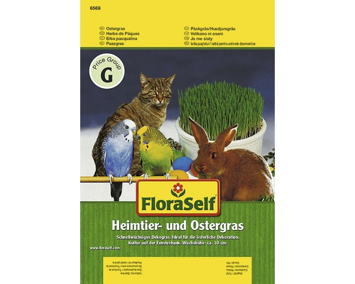 Herbe à chats et herbe de Pâques FloraSelf semences non-hybrides graines de fleurs FloraSelf Herbe pour animaux de compagnie et de Pâques, paquet avec chat, lapin et perruches