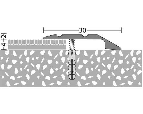 Illustration eines Übergangsprofils mit Schraube und Dübel zur Montage.