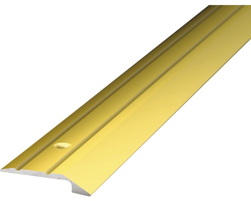 Abschlussprofil Alu gold gelocht 30 x 1000 mm