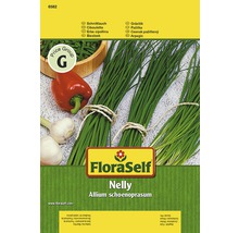 FloraSelf Nelly paquet de graines de ciboulette