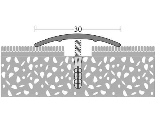 Darstellung eines Übergangsprofils mit Befestigungsschraube und Dübel, Abmessung 30.