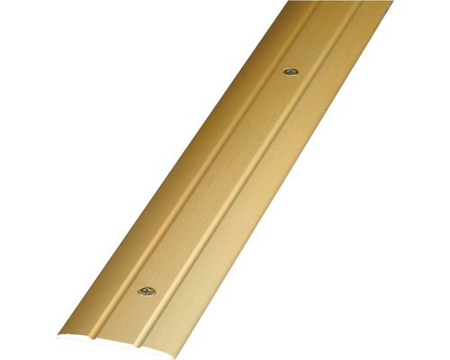 Barre de seuil Prinz aluminium or perforé 38 x 1000 mm Barre de transition dorée avec vis