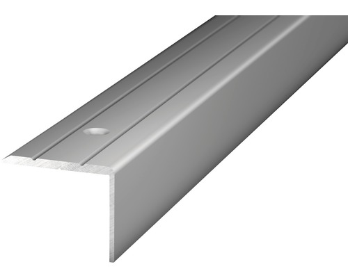 Winkelprofil Alu silber gelocht 24,5 x 20 x 2700 mm