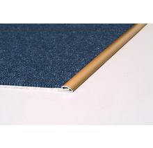Vue détaillée d''un bord de tapis avec profilé de transition