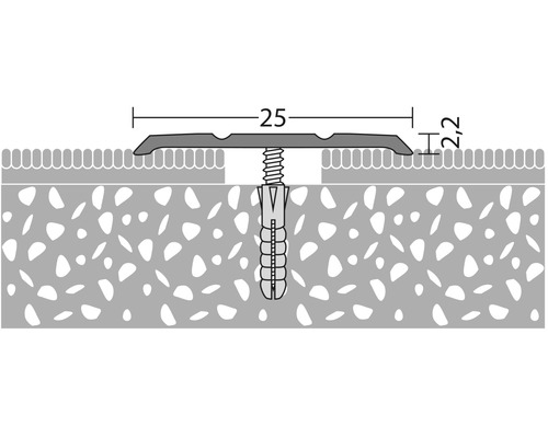 Rail profilé avec vis et cheville pour fixation au sol, dimensions 25 et 2,2