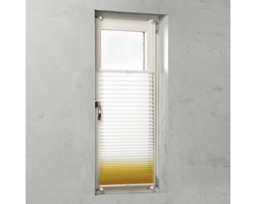 Fenêtre avec store plissé pour la décoration de fenêtre et la protection solaire