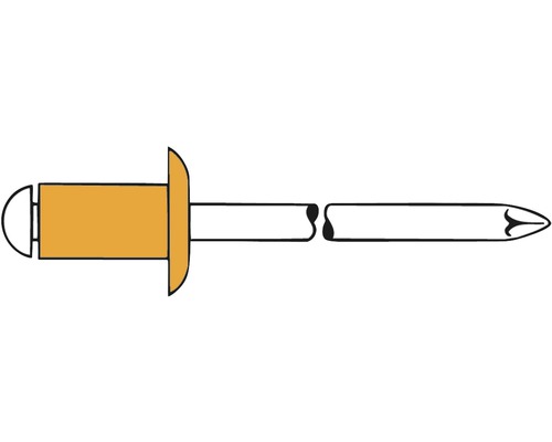 Tige de rivet aveugle avec mandrin
