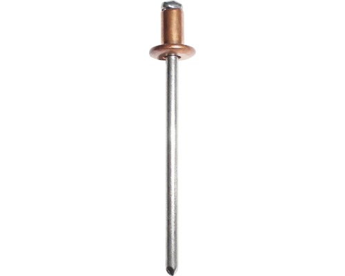 Rivets borgnes Gesipa cuivre Ø 4x6 mm lot de 500 Rivet aveugle en métal avec tête bombée
