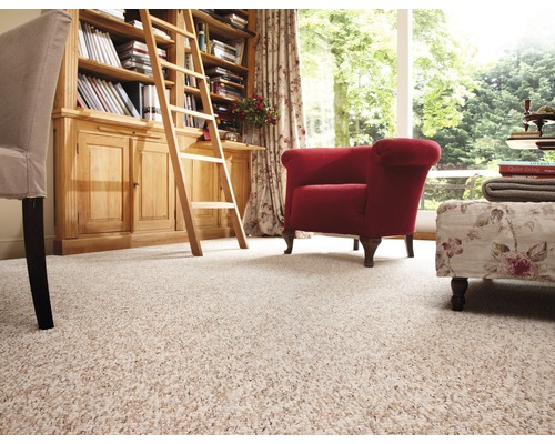 Wohnzimmer mit Teppichboden, Bücherregal und Sesseln