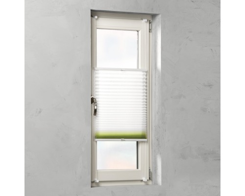 Fenêtre avec store plissé pour l''intimité et la protection solaire