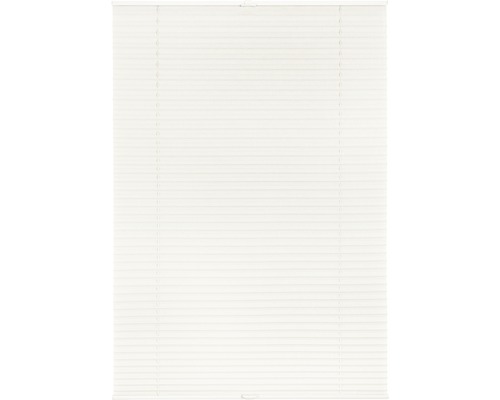 Store plissé pour fenêtre