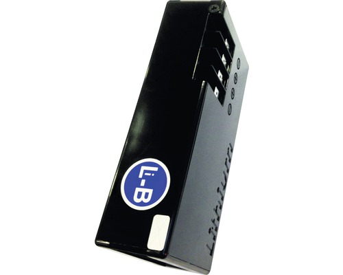 Batterie de rechange avec boîtier TechLine/Wiper 2,5 Ah pour tous les modèles Batterie lithium-ion noire