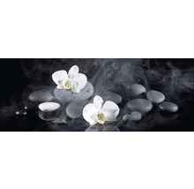 Nature morte avec fleurs d''orchidées et pierres