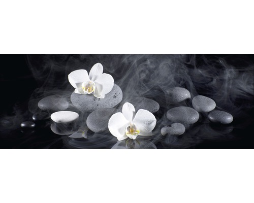 Tableau en verre White Orchid Iii 30x80 cm