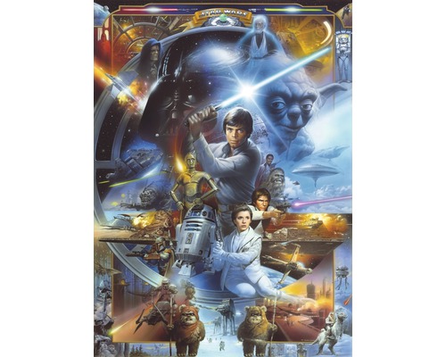Papier peint panoramique 4-441 Disney Edition 4 Star Wars Luke Skywalker 4 pces 184 x 254 cm