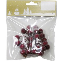 Dekorative Beeren für die Weihnachtszeit in Kunststoffverpackung