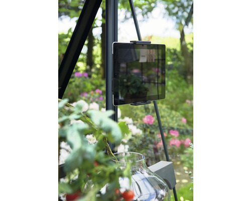 Tablet-Halterung in einem Gewächshaus mit Tomatenpflanze im Vordergrund