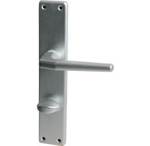 Türgriff mit Langschild aus Metall