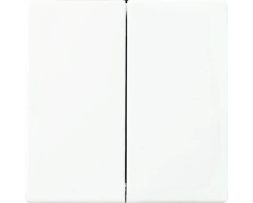 Bascule d'interrupteur en série bascule Busch-Jaeger Future Linear blanc studio