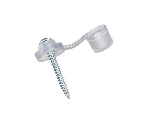 Schraube mit Abdeckkappe