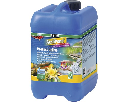 Wasseraufbereiter JBL AccliPond Protect active 5 l JBL AccliPond Protect active zur Aktivierung der Abwehrkräfte von Teichfischen in einem blauen Kanister